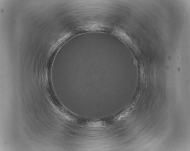 X0000070400202200606161354