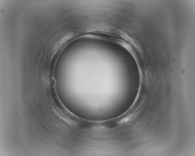 X0000070400203200606161354