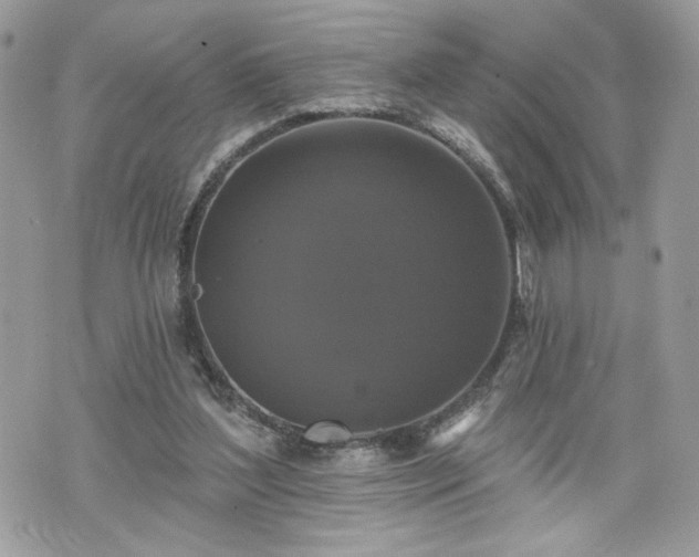 X0000070400204200606161354