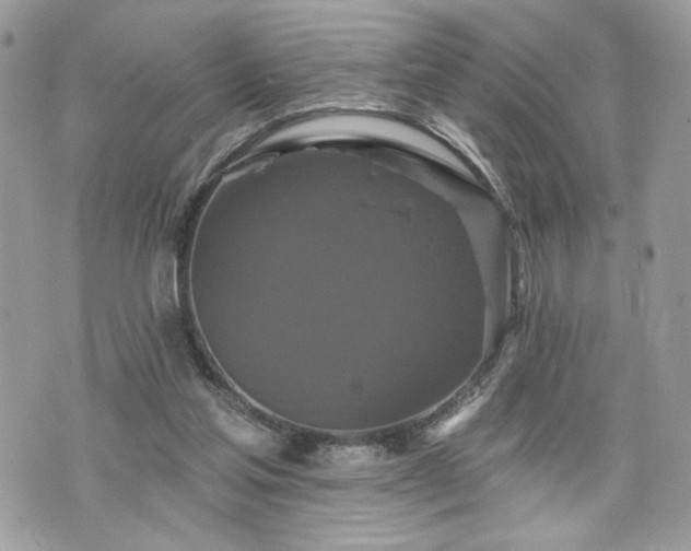 X0000070400205200606161354