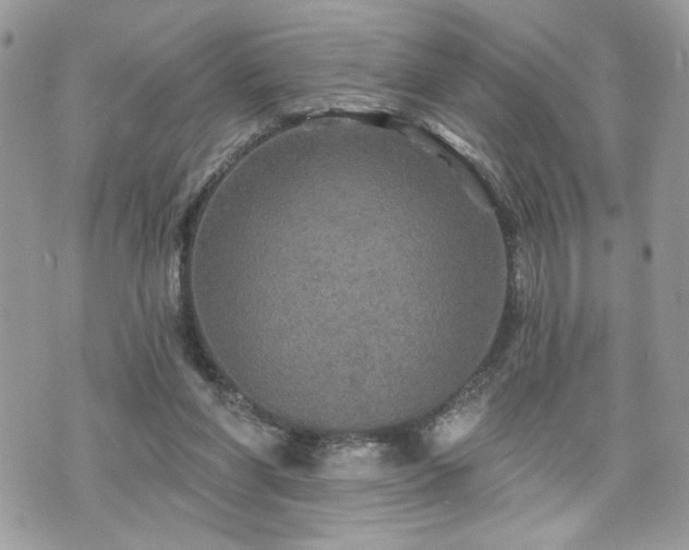 X0000070400206200606161354