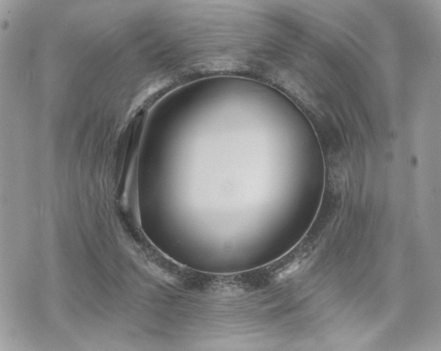 X0000070400207200606161354