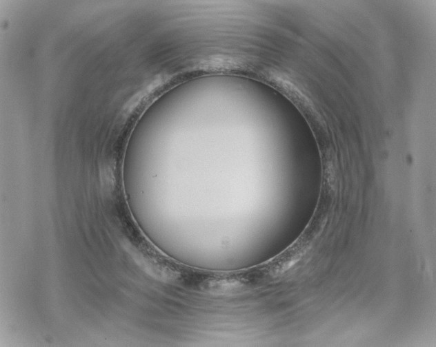 X0000070400208200606161354