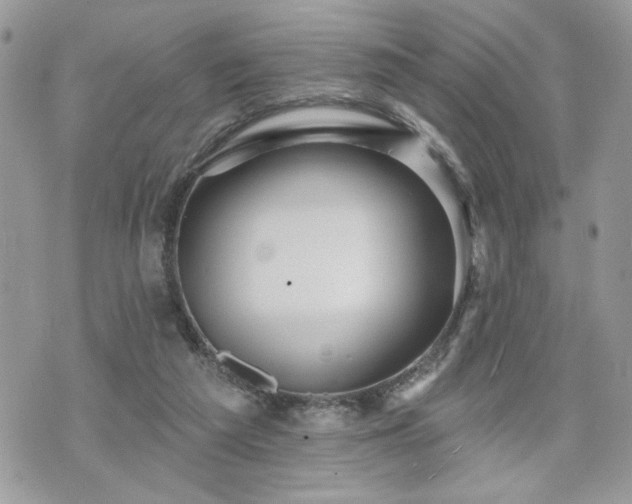 X0000070400209200606161354