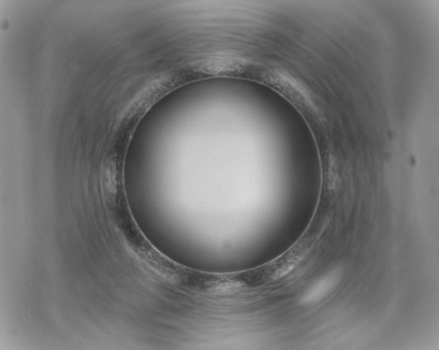 X0000070400210200606161354