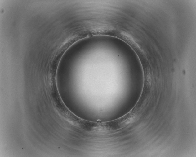 X0000070400211200606161354