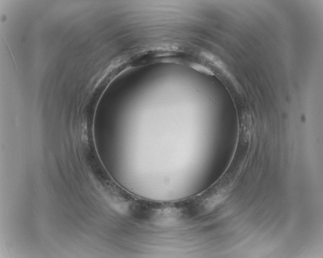 X0000070400212200606161354