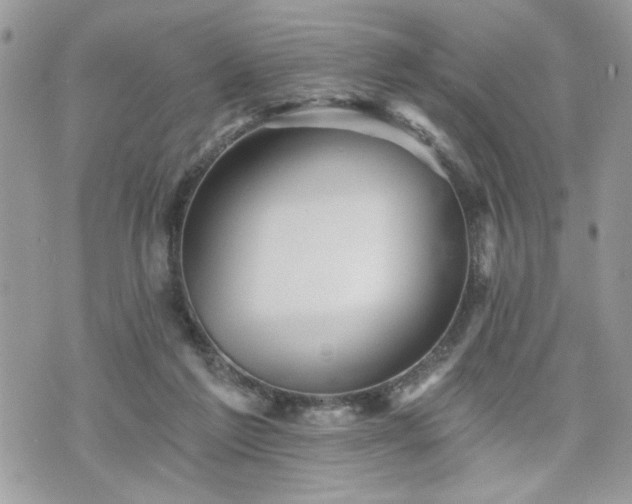 X0000070400213200606161354