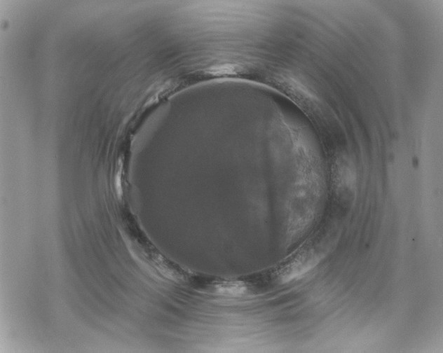 X0000070400214200606161354