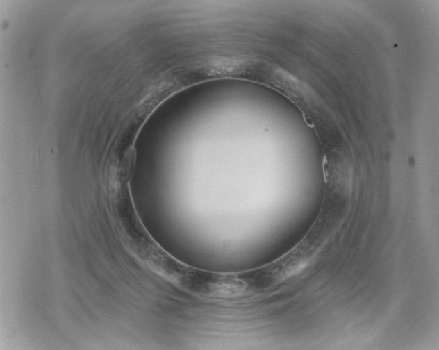 X0000070400215200606161354