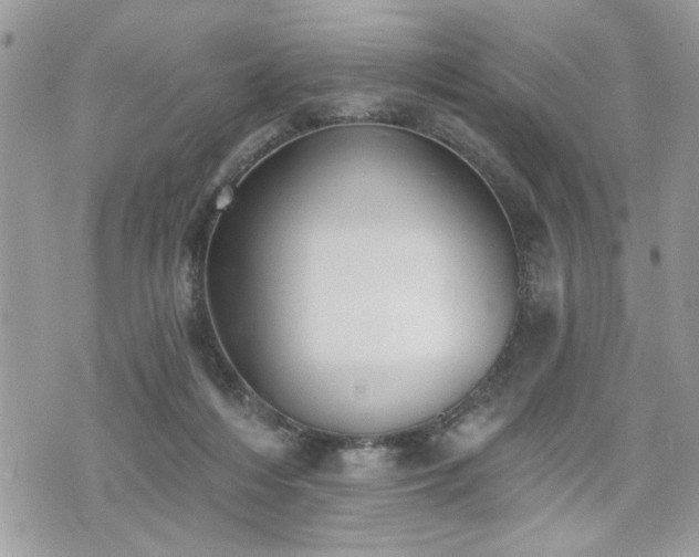 X0000070400216200606161354