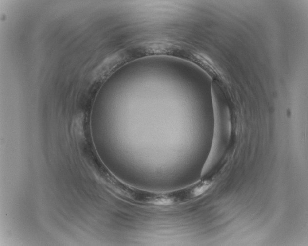 X0000070400217200606161354