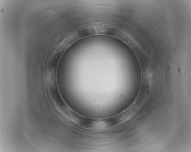 X0000070400218200606161354