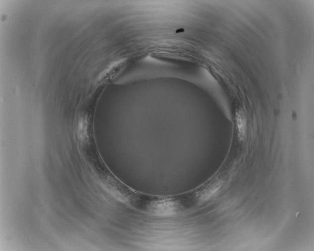 X0000070400219200606161354