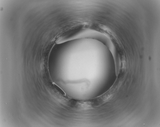 X0000070400221200606161354