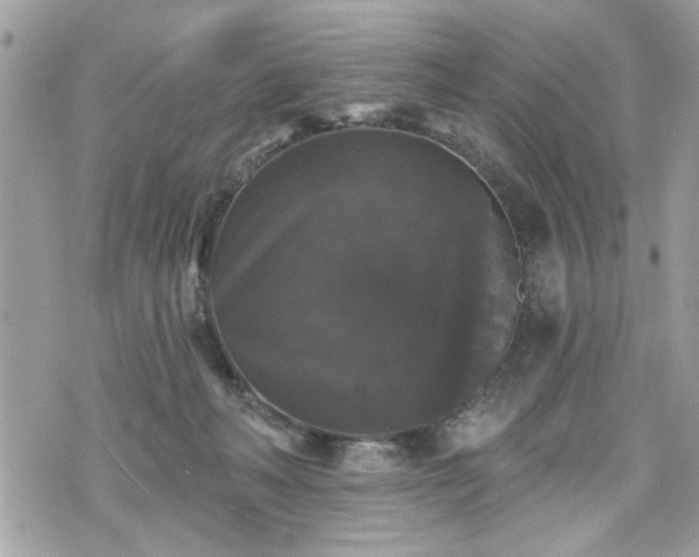 X0000070400222200606161353