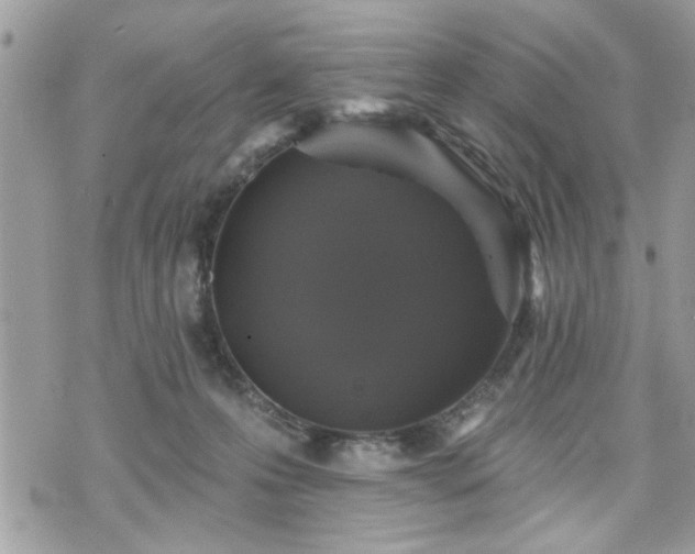 X0000070400223200606161353