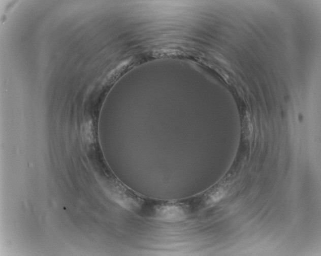 X0000070400224200606161353