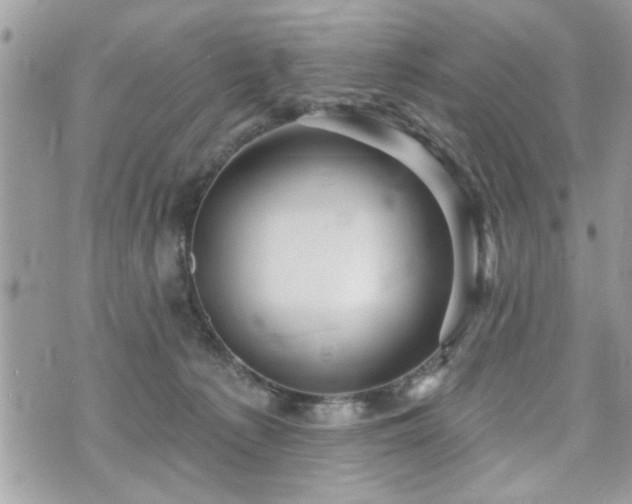 X0000070400225200606161353