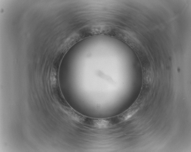 X0000070400226200606161353