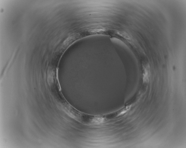 X0000070400227200606161353