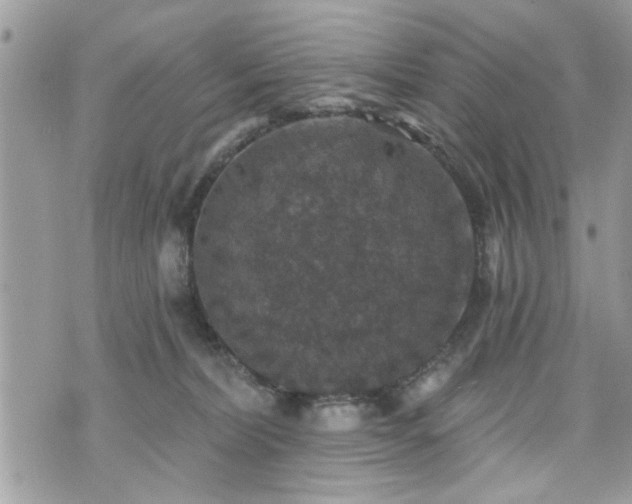 X0000070400228200606161353