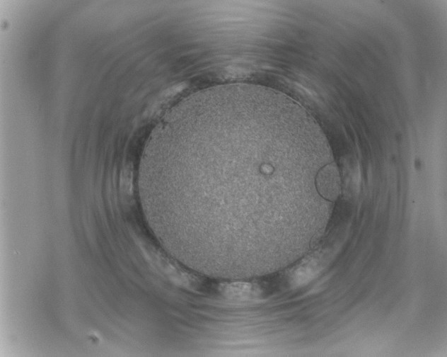 X0000070400230200606161353