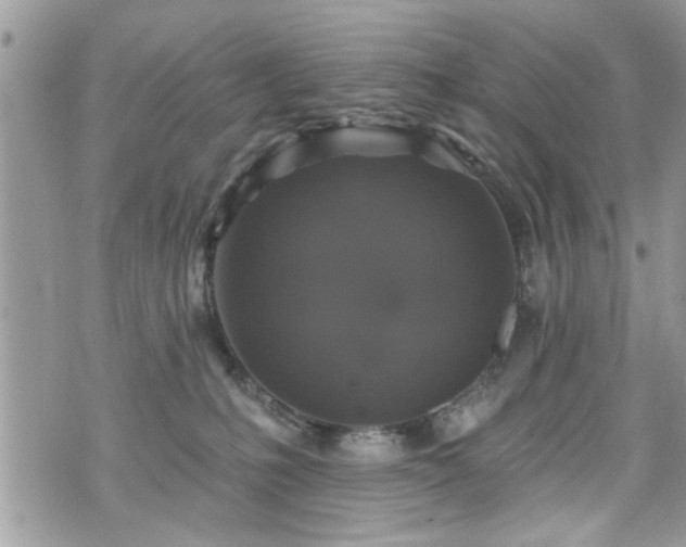 X0000070400231200606161353