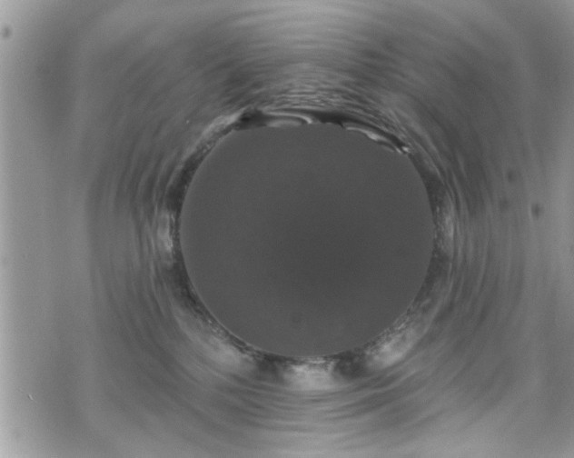 X0000070400232200606161353