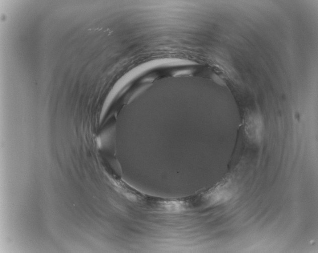 X0000070400233200606161353