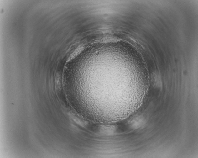 X0000070400234200606161353