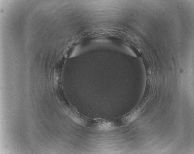 X0000070400235200606161353