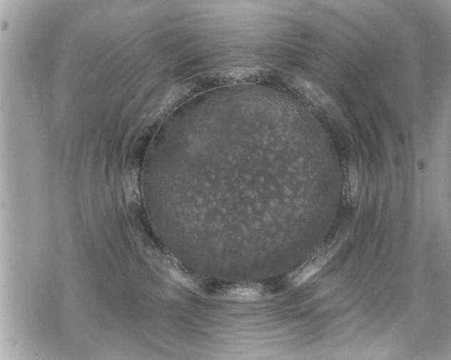 X0000070400236200606161353