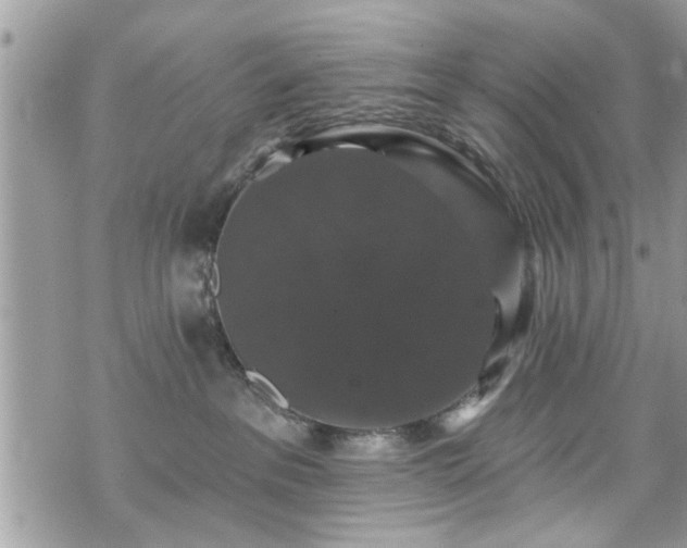 X0000070400237200606161353