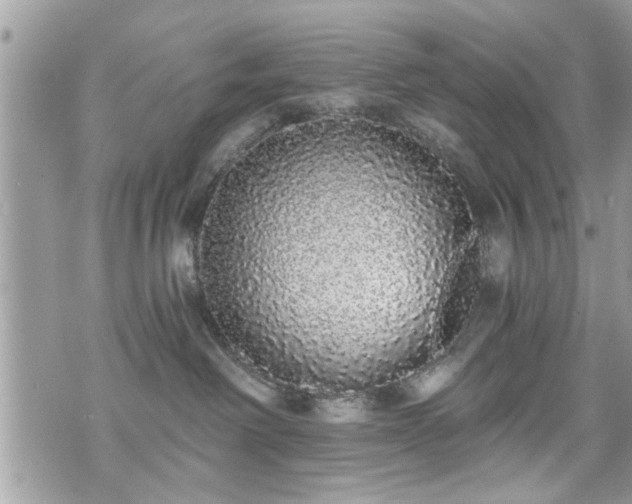 X0000070400238200606161353