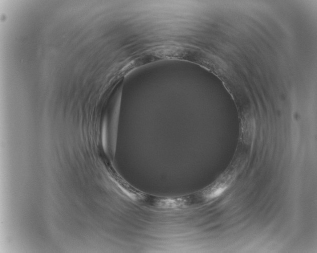 X0000070400239200606161353