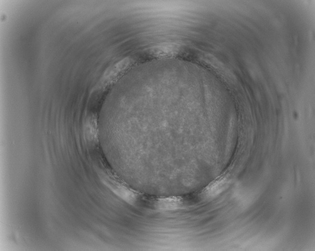 X0000070400240200606161353