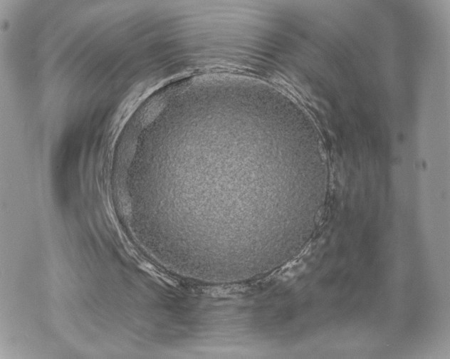 X0000070400241200606161352