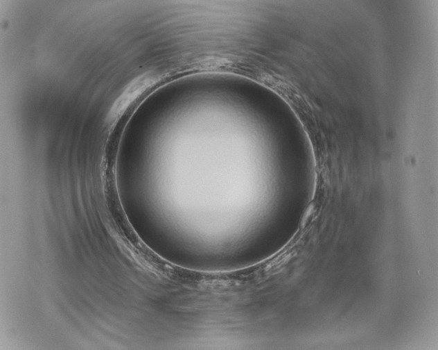 X0000070400242200606161352