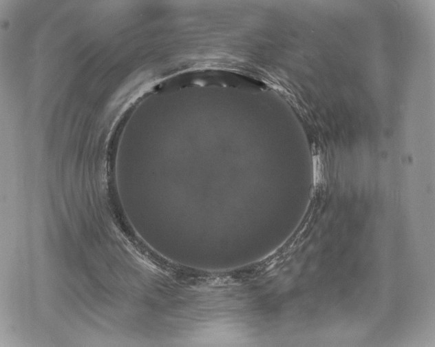 X0000070400243200606161352