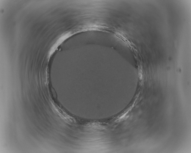 X0000070400244200606161352