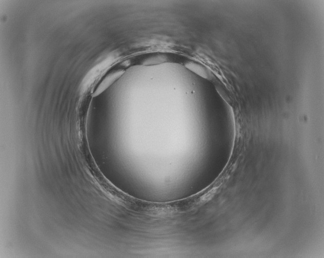 X0000070400245200606161352