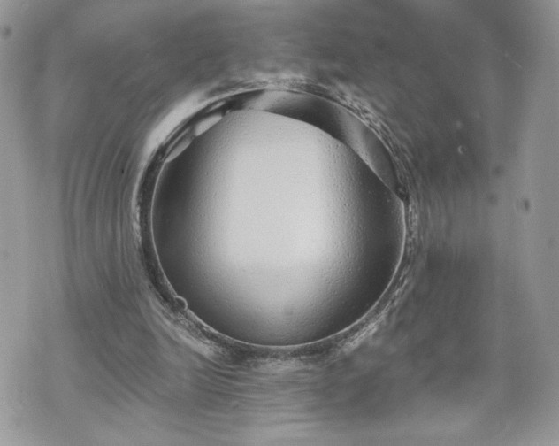 X0000070400246200606161352