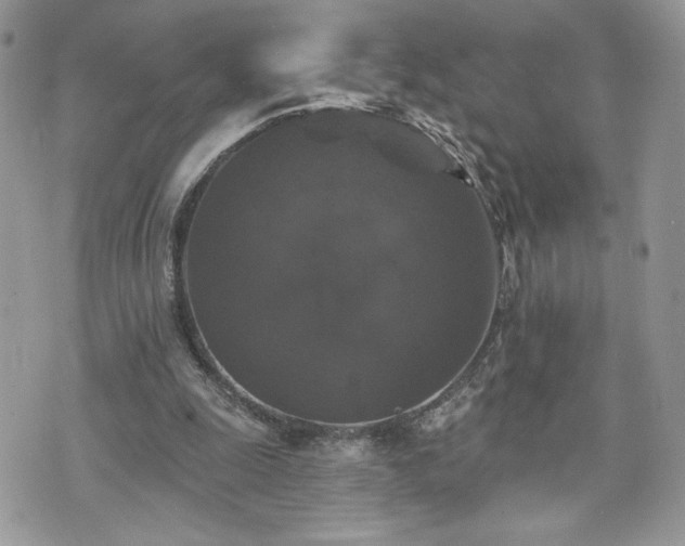 X0000070400247200606161353