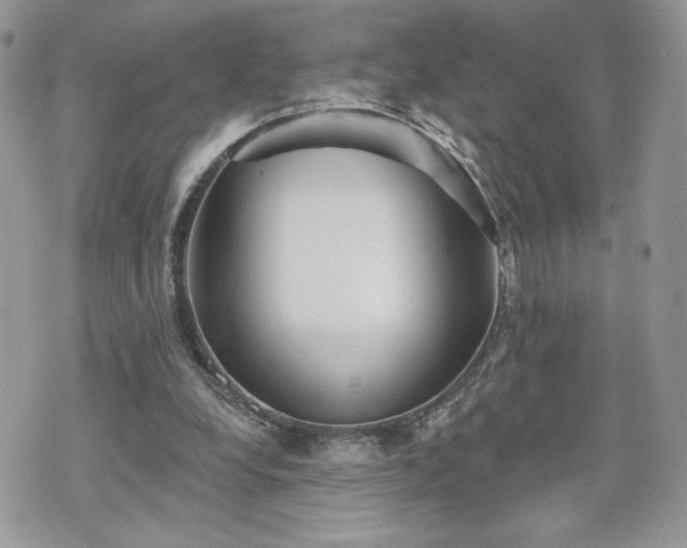 X0000070400248200606161353