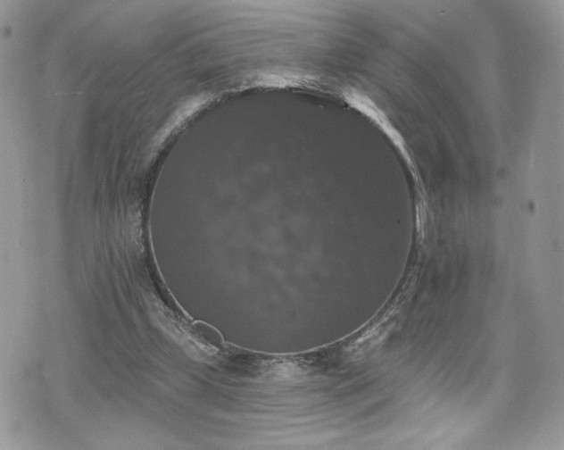 X0000070400249200606161353