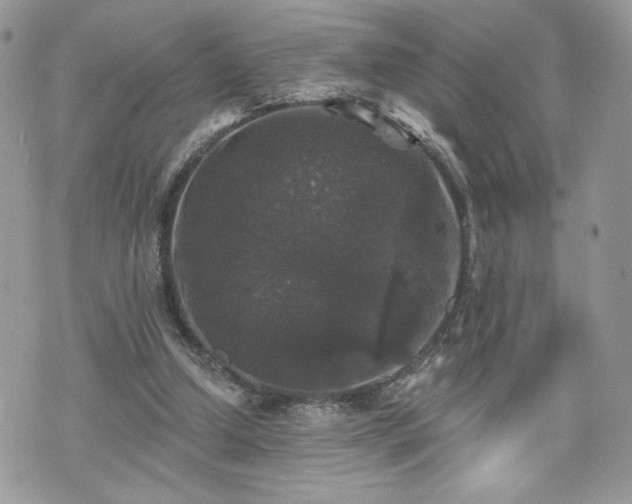 X0000070400250200606161353