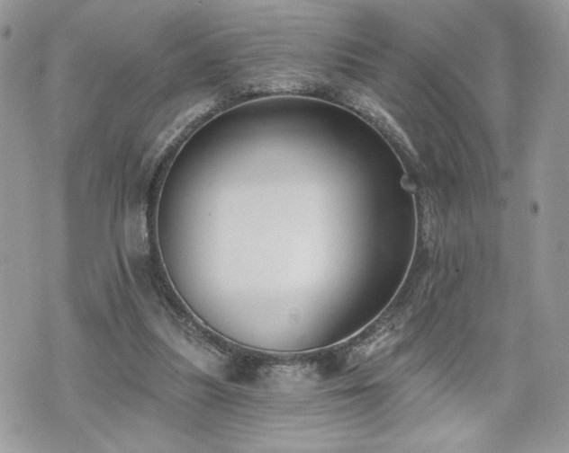 X0000070400251200606161353