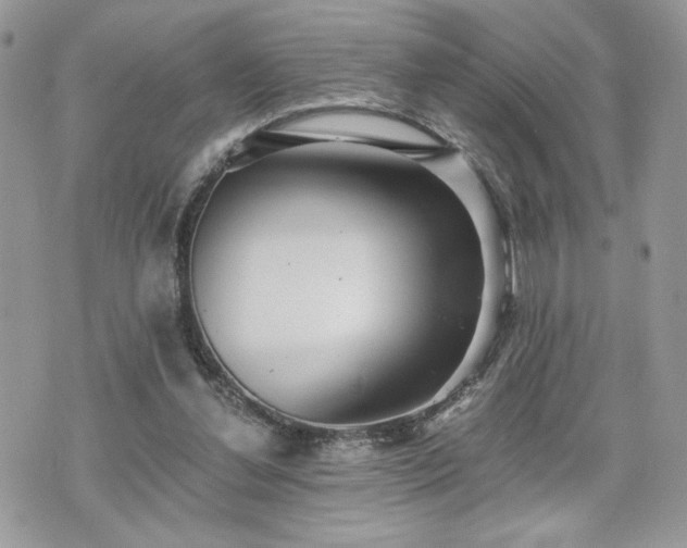 X0000070400252200606161353