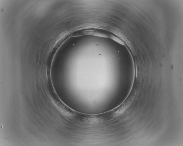 X0000070400253200606161353